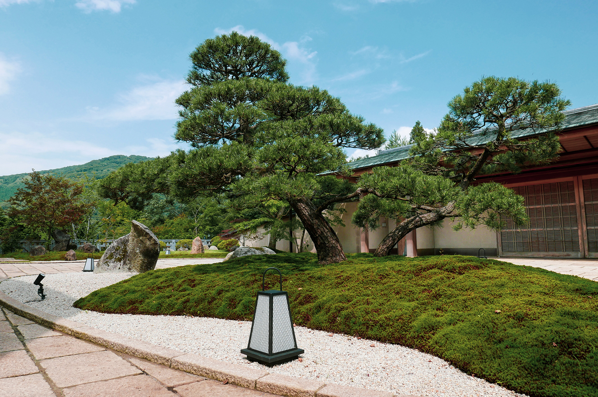 日本庭園 入口の松