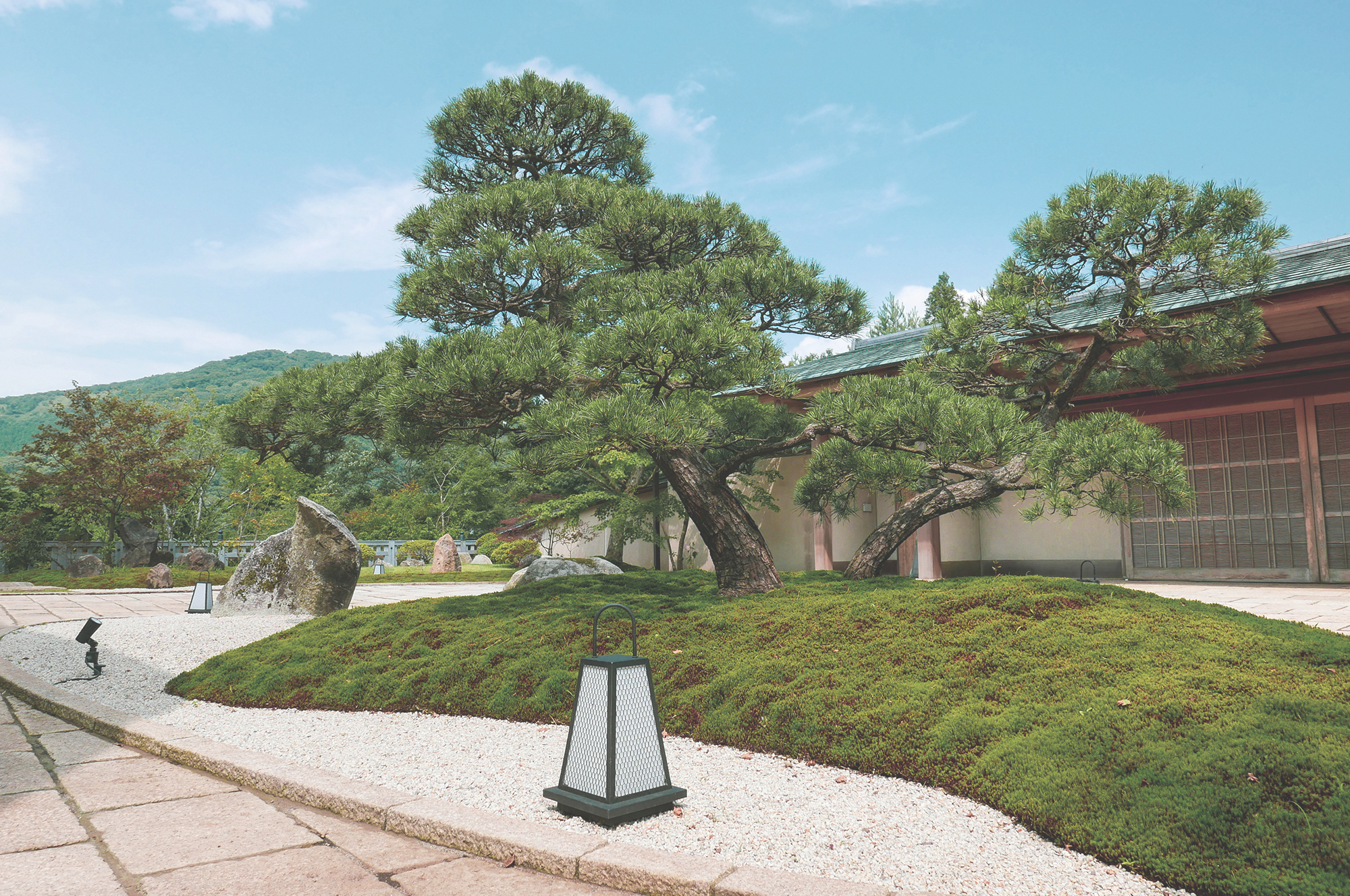 日本庭園 入口の松